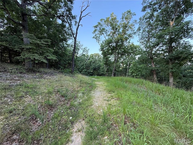4600 Trails End Trl, House Springs, MO 63051 - photo 2