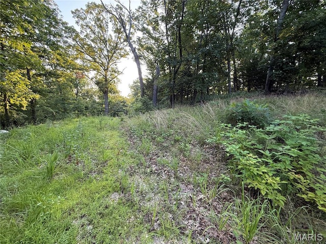 4600 Trails End Trl, House Springs, MO 63051 - photo 3