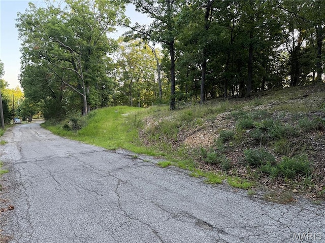 4600 Trails End Trl, House Springs, MO 63051 - photo 1