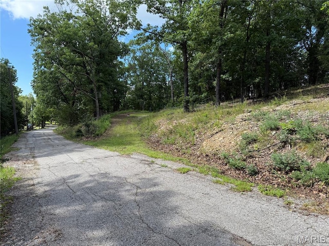 4600 Trails End Trl, House Springs, MO 63051 - photo 7