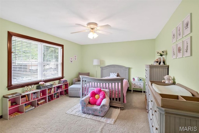 500 Paul Dr, Waterloo, IL 62298 - photo 19