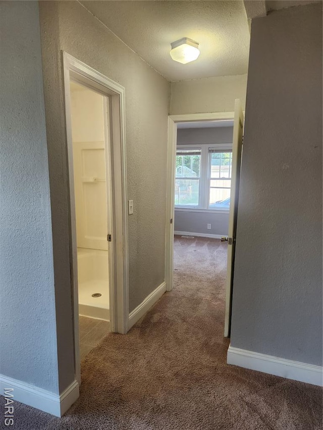 650 Bland Ave, Lebanon, MO 65536 - photo 8