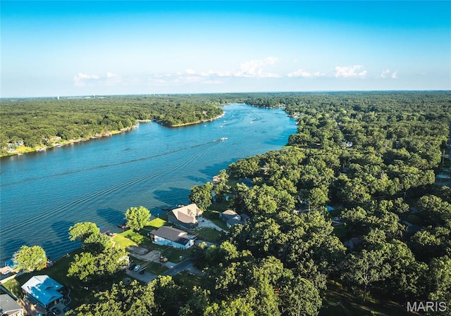 1295 Lakeshore, Cuba, MO 65453 - photo 10