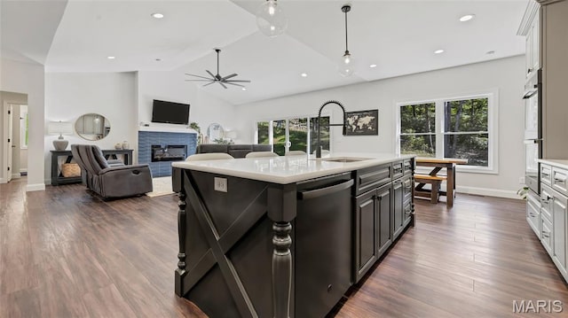 5065 Fox Bridge Rd, Wildwood, MO 63069 - kitchen featuring stainless steel appliances, light countertops, plenty of natural light, a glass covered fireplace, and vaulted ceiling
