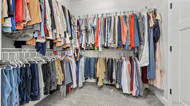 5065 Fox Bridge Rd, Wildwood, MO 63069 - walk in closet featuring carpet flooring