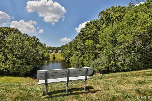 160 Jubilee Hill Dr Unit G, Grover, MO 63040 - view of community featuring a water view and a yard