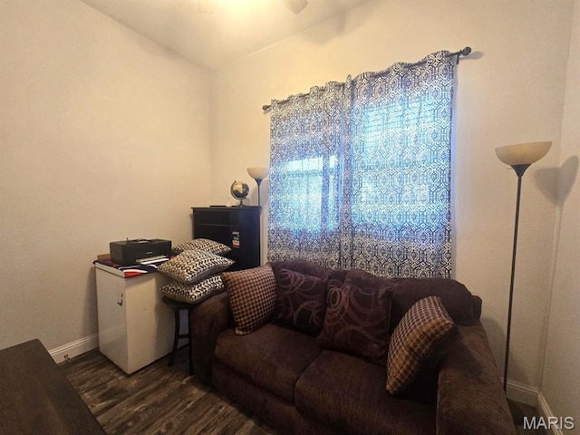 316 W Bain St, Dexter, MO 63841 - photo 16