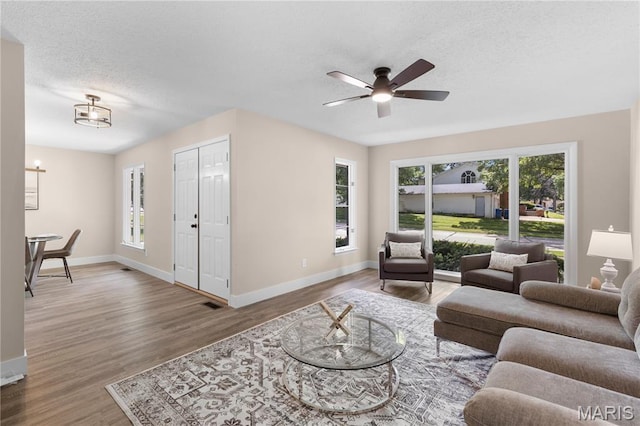 1618 Clock Tower Dr, Saint Louis, MO 63138 - living room featuring plenty of natural light, a ceiling fan, wood finished floors, and a textured ceiling