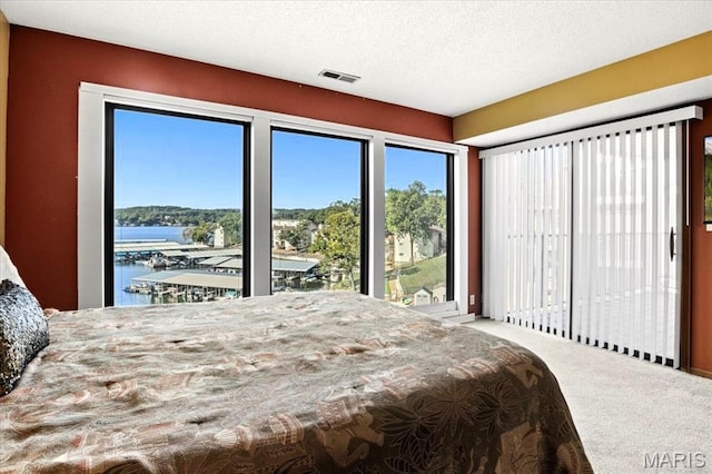 40 Robinwood Unit 2C, Lake Ozark, MO 65049 - carpeted bedroom featuring a water view, access to outside, and a textured ceiling