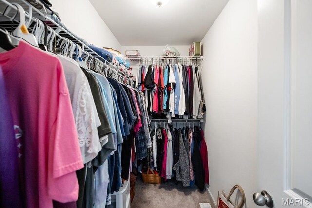 132 Timberlake, Damiansville, IL 62215 - spacious closet featuring carpet