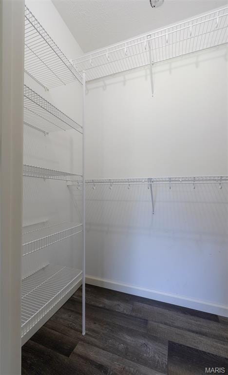 5 Lakeshore Dr, New Baden, IL 62265 - spacious closet with dark wood-type flooring