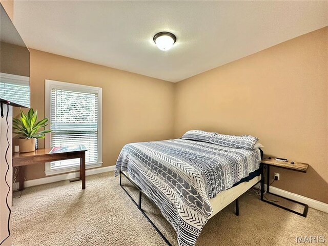 144 Walden Dr, Glen Carbon, IL 62034 - photo 31