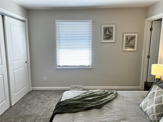 218 Mill St, Bethalto, IL 62010 - carpeted bedroom with a closet and baseboards