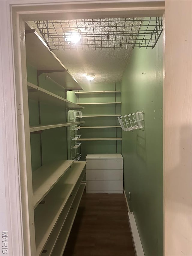 6378 High St, Moro, IL 62067 - walk in closet with wood finished floors