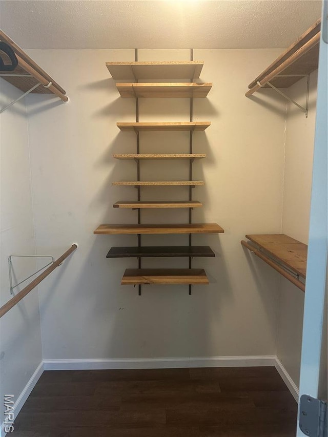 6378 High St, Moro, IL 62067 - walk in closet with wood finished floors