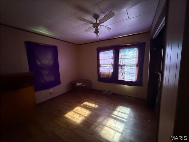 25451 State Highway 51, Marble Hill, MO 63764 - photo 4