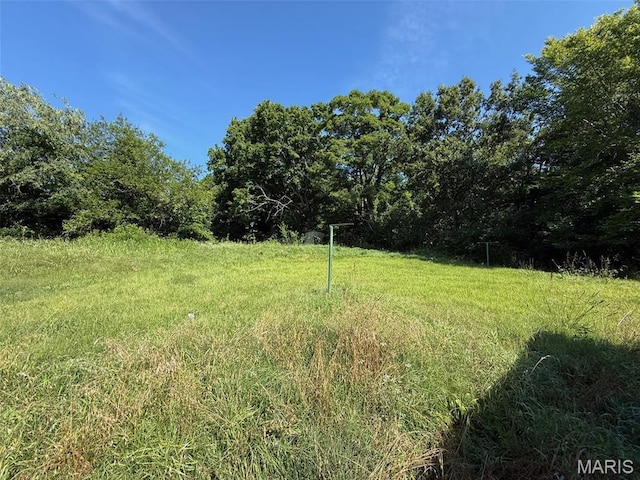 25451 State Highway 51, Marble Hill, MO 63764 - photo 7