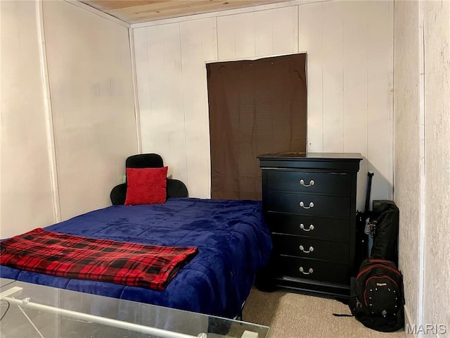 204 E Columbia St, Litchfield, IL 62056 - view of carpeted bedroom