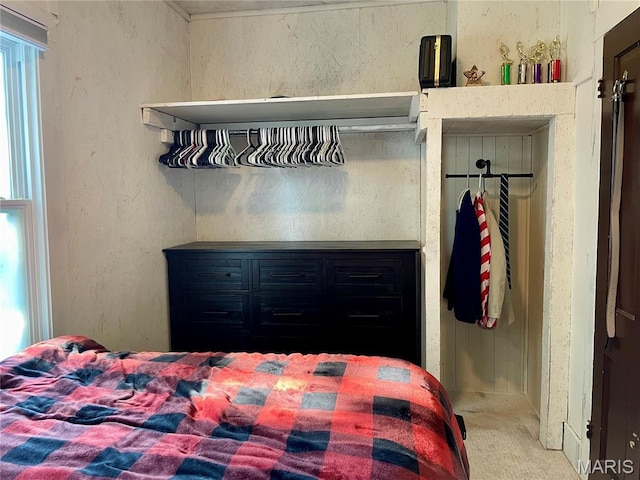 204 E Columbia St, Litchfield, IL 62056 - view of carpeted bedroom