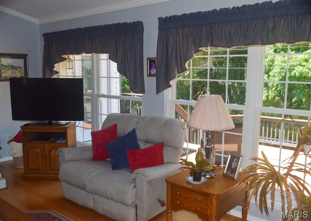1741 Ivy Chase Ct, Fenton, MO 63026 - living room featuring wood finished floors and ornamental molding
