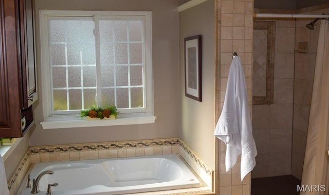 1741 Ivy Chase Ct, Fenton, MO 63026 - bathroom with a garden tub and a stall shower