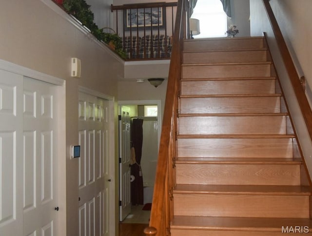 1741 Ivy Chase Ct, Fenton, MO 63026 - view of stairs