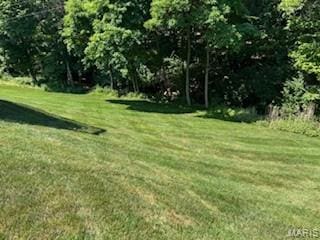 1741 Ivy Chase Ct, Fenton, MO 63026 - view of green lawn