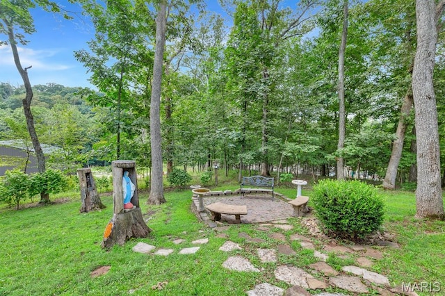 1234 Robin Hood Dr, Lake Sherwood, MO 63357 - photo 31