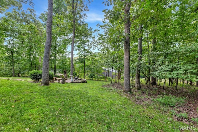 1234 Robin Hood Dr, Lake Sherwood, MO 63357 - photo 35