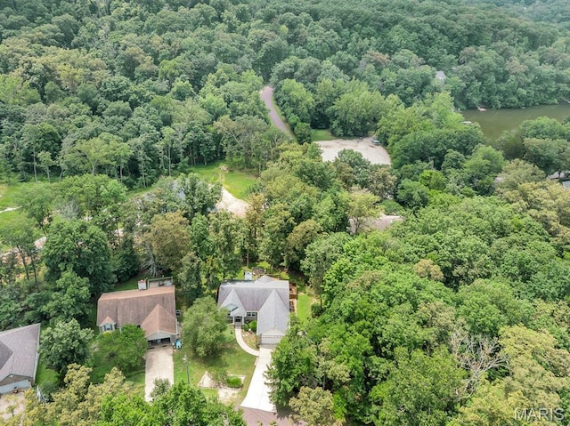 1234 Robin Hood Dr, Lake Sherwood, MO 63357 - photo 39