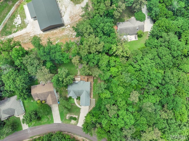 1234 Robin Hood Dr, Lake Sherwood, MO 63357 - photo 40