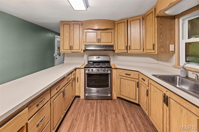 1752 N Bluff Rd, Collinsville, IL 62234 - kitchen with stainless steel range with gas stovetop, under cabinet range hood, dark wood-style floors, and light countertops