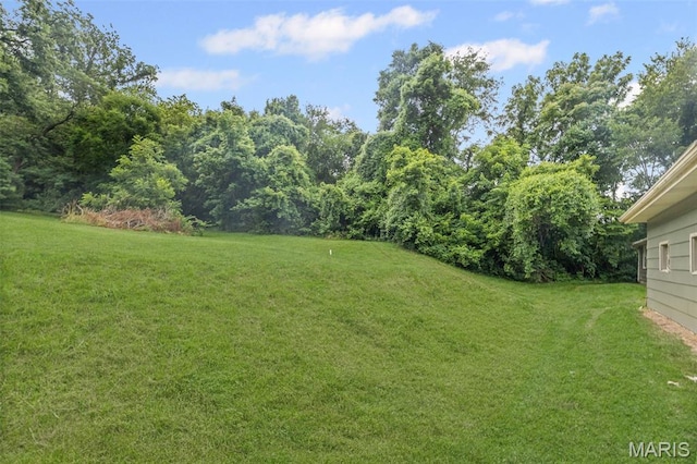 1752 N Bluff Rd, Collinsville, IL 62234 - view of green lawn