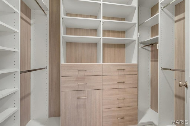 845 Kingston Hills Ct, Fenton, MO 63026 - view of walk in closet