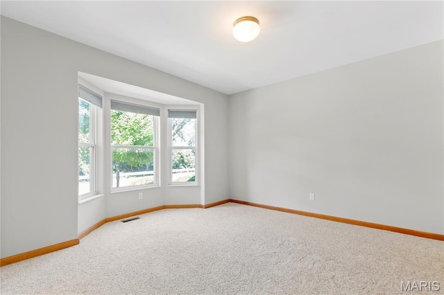 3119 Shady Oak Dr Unit 20B, Saint Charles, MO 63301 - photo 15