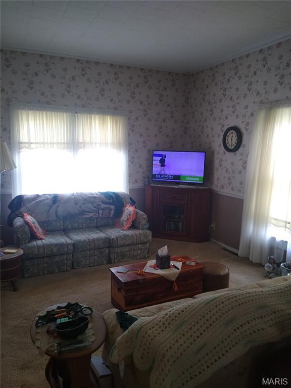 904 W Park St, Willisville, IL 62997 - photo 5