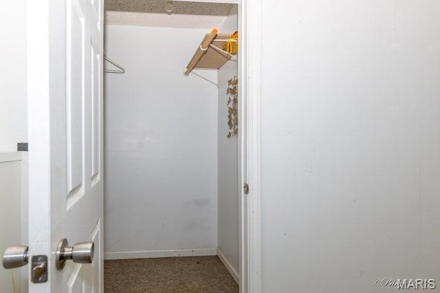 916 Kansas St, Mountain View, MO 65548 - spacious closet with carpet