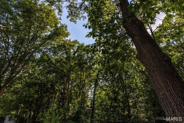 916 Kansas St, Mountain View, MO 65548 - view of local wilderness