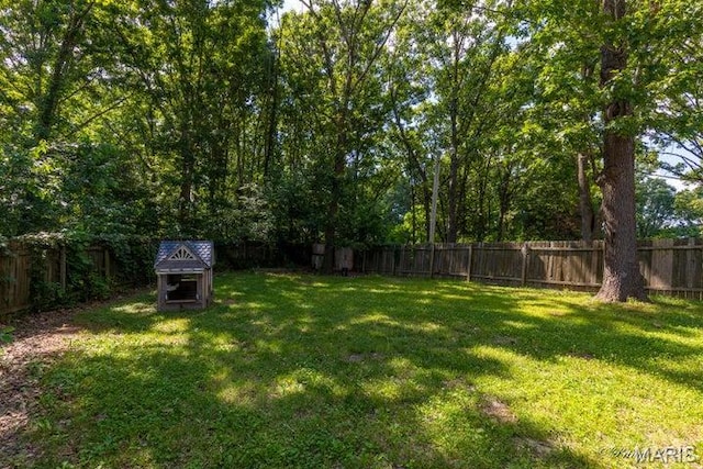 916 Kansas St, Mountain View, MO 65548 - view of fenced backyard
