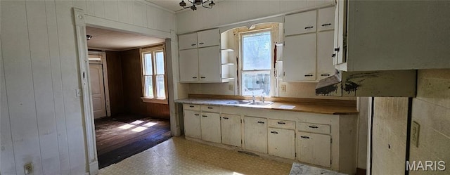 718 2nd St W, Scott City, MO 63780 - kitchen with light flooring, wood walls, white cabinetry, and crown molding