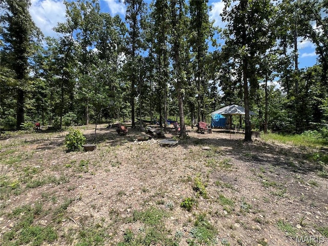 366 Ripley 142e-16, Doniphan, MO 63935 - photo 3