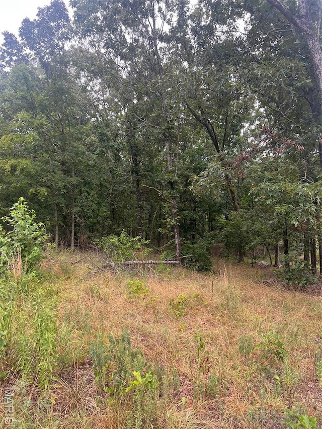 366 Ripley 142e-16, Doniphan, MO 63935 - photo 7