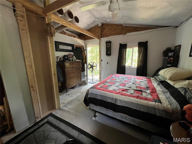 366 Ripley 142e-16, Doniphan, MO 63935 - photo 10