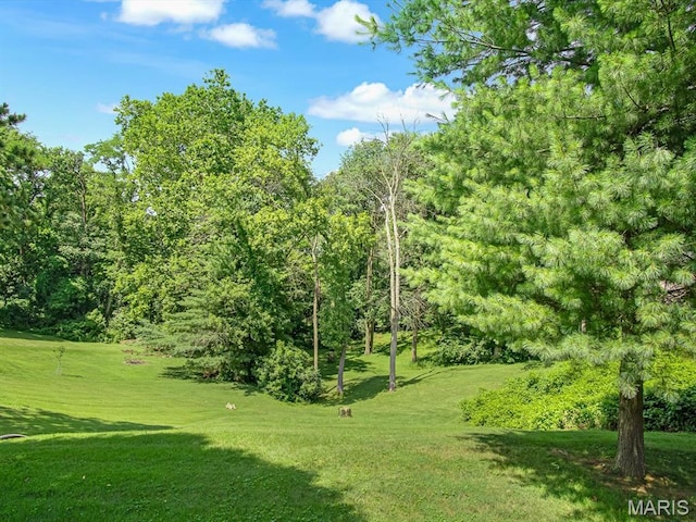 1471 Ladd Ave, Edwardsville, IL 62025 - view of green lawn