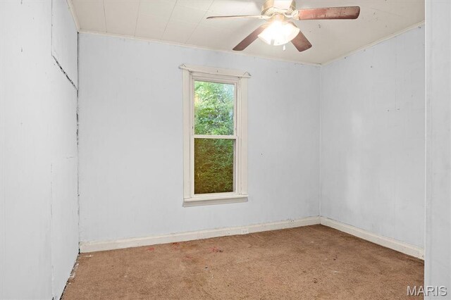 1619 Pontiac Rd, Fairview Heights, IL 62208 - photo 8