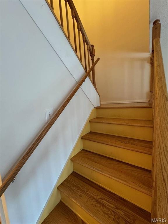 13573 Coliseum Dr, Chesterfield, MO 63017 - photo 15