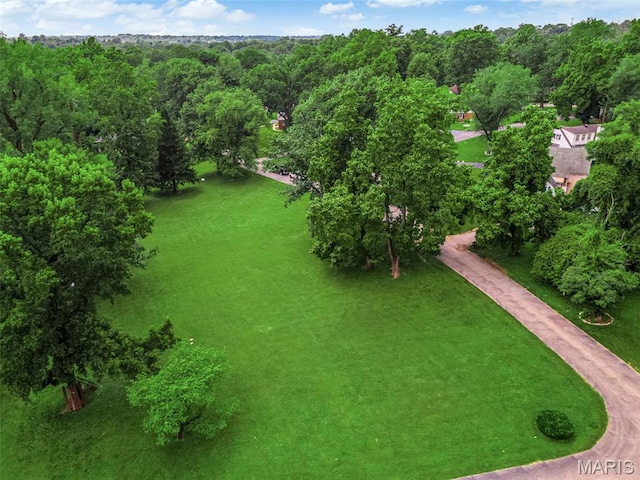 22 Green Acres Rd, Bellefontaine Nghbrs, MO 63137 - bird's eye view