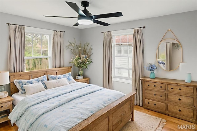 14 S 87th St, Belleville, IL 62223 - bedroom with multiple windows, light wood-type flooring, and a ceiling fan