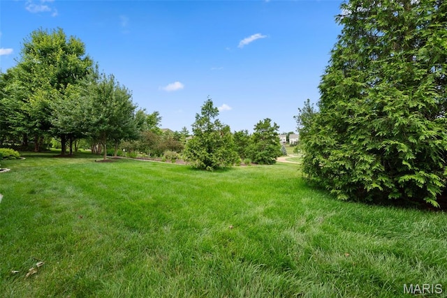 411 Maple Rise Path, Chesterfield, MO 63005 - photo 71