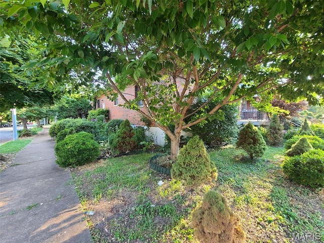 3100 Osceola St, Saint Louis, MO 63111 - photo 4